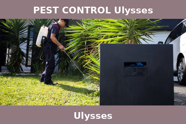 PEST CONTROL Ulysses